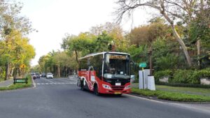 Trans Metro Dewata sebagai pilihan transportasi publik untuk menjelajahi Bali.