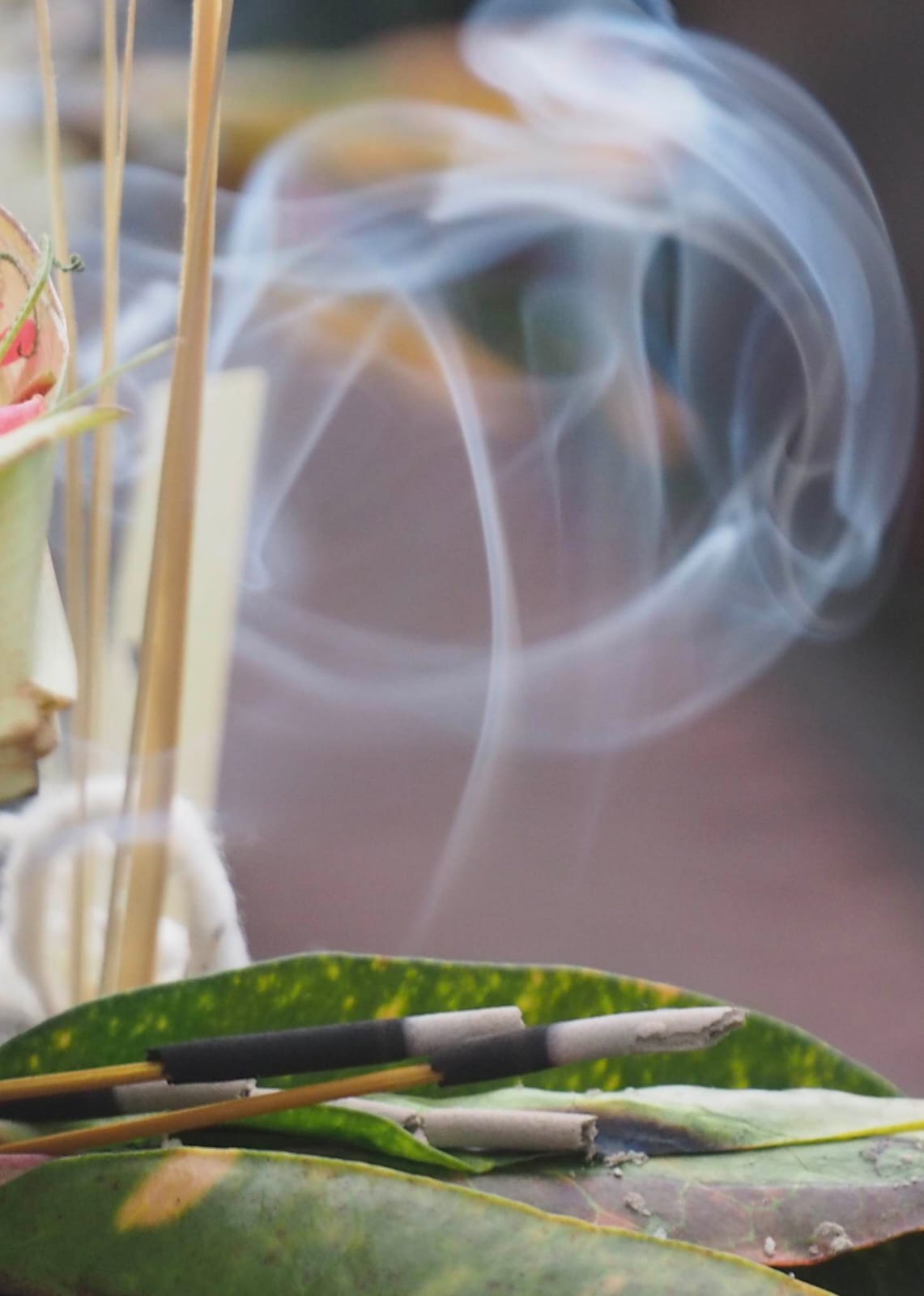 Dupa sebagai bagian dari tradisi dan kehidupan spiritual masyarakat Bali.