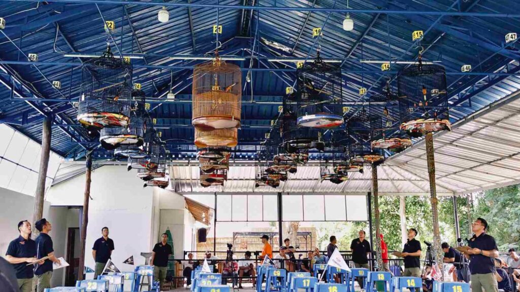 Kawasan berkumpulnya para Kicau Mania untuk latihan bersama dan perlombaan burung berkicau.