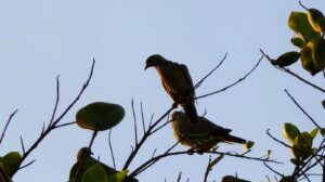 Refleksi tentang kebebasan sejati melalui kesadaran menentukan pilihan yang benar-benar penting dalam hidup.