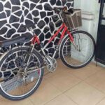 Ngurah menggunakan sepeda sebagai sarana transportasi untuk pergi ke kantor di Denpasar.