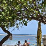 Suasana Pantai Karang Sanur dengan laut, pasir, dan kehidupan pesisir.