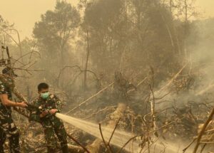 Petugas melakukan pemadaman kebakaran hutan dan lahan di Kota Palangka Raya di tengah kabut asap tebal.